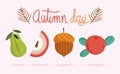 Hello autumn, season harvest fruits apple pear acorn berry icons
