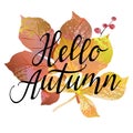 Hello autumn sign with colorful leaves, berries and lettering inscription. Autumn background. Royalty Free Stock Photo