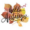 Hello autumn sign. Fall composition with colorful leaves, berries and lettering inscription. Autumn background Royalty Free Stock Photo