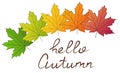 Hello autumn text. Banner decorated with maple leaves of different colors. Royalty Free Stock Photo