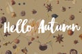 Hello Autumn text on fall leaves, berries, acorns on awkwardly painted brown background Royalty Free Stock Photo