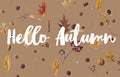 Hello Autumn text on fall leaves, berries, acorns on awkwardly painted brown background Royalty Free Stock Photo