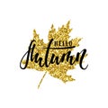 Hello autumn text on golden maple leaf foliage pattern imprint Hand drawn calligraphy, brush pen lettering. design for holiday gre