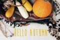 Hello Autumn text, seasons greeting card concept. Welcome Fall s