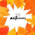 Hello autumn text. Vector brush calligraphy at hand drawn golden leaves frame.