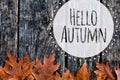 Hello autumn card