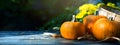 art Hello autumn. Thanksgiving holiday party background, autumn pumpkin on wooden table