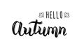 Hello Autumn. Trendy hand lettering quote, fashion graphics, art print for posters and greeting cards design.