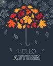 Hello autumn! Umbrella composed of color autumn leaves.