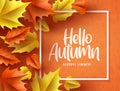 Hello autumn vector background  banner. Hello autumn greeting text in white frame with fall seasonal dry maple and oak leaves Royalty Free Stock Photo