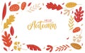 Hello Autumn vector illustration. Falling leaves frame. Hand drawn calligraphy lettering. Autumn holidays sketch design Royalty Free Stock Photo