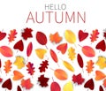 Hello autumn vector illustration with red and orange falling tree leaves over white background.