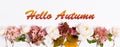 Hello Autumn wallpaper, autumn background with burgundy pink rose and hydrangea