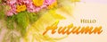 Hello Autumn wallpaper, autumn background with yellow pink flowers