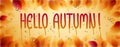Hello autumn word drawn on a window, yellow and red leaves and water rain drops or condensate macro.