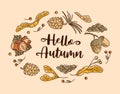Hello, Autumn. A wreath of nuts and seeds. Acorns with leaves, cedar cone, linden seeds, hazelnuts, maple lionfish seeds