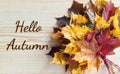 Hello Autumn writing with maple leaf autumn bouquet Royalty Free Stock Photo