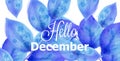 Hello December background with blue leaves Vector. Beautiful winter watercolor design textures