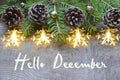 Hello December.Christmas decoration with fir tree,pine cones and garland lights on old wooden background. Royalty Free Stock Photo