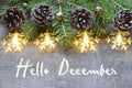 Hello December.Christmas decoration with fir tree,pine cones and garland lights on old wooden background.