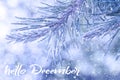 HELLO DECEMBER greeting card. Winter holidays concept Royalty Free Stock Photo