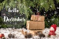 HELLO DECEMBER lettering design. New Year and Christmas celebrat