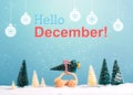 Hello December message with car carrying a Christmas tree Royalty Free Stock Photo
