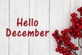 Hello December text with red berry branch Royalty Free Stock Photo
