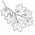 Hello Fall Coloring Sheets, Autumn Fall Activities centrists coloring page, Autumn falling leaves, Vegetables, Pumpkin, Wheat