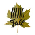 Hello fall - hand drawn Seasons greeting positive lettering phrase isolated on the white background. Fun brush ink Royalty Free Stock Photo