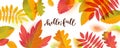 Vector Hello Fall Sale horizontal promotion banner. Bright warm colors design template. Vivid colorful autumn leaves with shadows Royalty Free Stock Photo