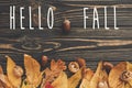 Hello Fall Text. Hello Autumn sign on bright colorful autumn lea