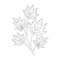 Hello falling vector art natural autumn leaf of hand-drawn illustration isolated on a white background clip art coloring book Royalty Free Stock Photo