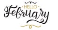 Hello, February - typography, hand lettering