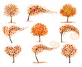 Hello a gold autumn. Set of Autumn Inspired Trees with Colorful Leaves