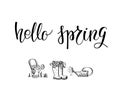 Hello green spring lettering