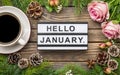 Hello January greeting card Royalty Free Stock Photo