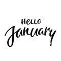 Hello January Vector Illustration. Hand Drawn Ink Lettering Isolated on White Background