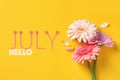 Hello July. Beautiful gerbera flowers on yellow background, flat lay