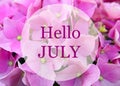 Hello July greeting on natural pink hydrangea flowers background.Summer concept. Royalty Free Stock Photo