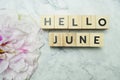 Hello June alphabet letters with pink flower decoration on marble background