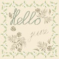 hello june banner frame of white flowers on a light background Royalty Free Stock Photo
