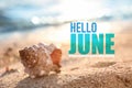 Hello June. Beautiful sea shell on sandy beach Royalty Free Stock Photo