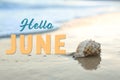 Hello June. Beautiful seashell on sandy beach Royalty Free Stock Photo