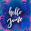 Hello June brush lettering.