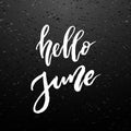 Hello June brush lettering.