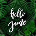 Hello June brush lettering.