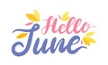 Hello June Colorful Banner with Lettering and Leaves on White Background. Summertime Season Greeting Calligraphy Design