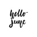 Hello June - hand drawn seasons holiday lettering phrase isolated on the white background. Fun brush ink vector Royalty Free Stock Photo