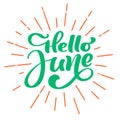 Hello june lettering print vector text. Summer minimalistic illustration. Isolated calligraphy phrase on white